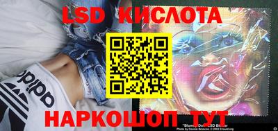 сатива Ставрополь