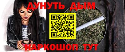 сатива Ставрополь