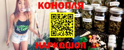 сатива Ставрополь
