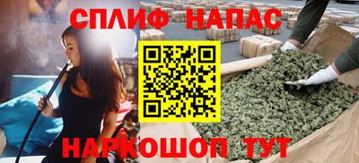 сатива Ставрополь