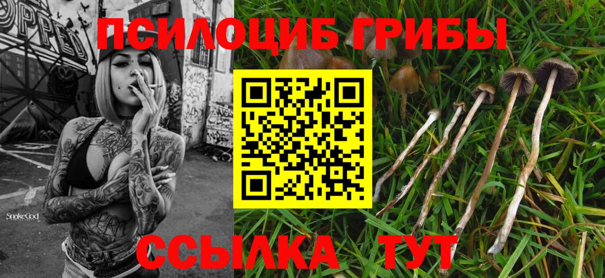 Псилоцибиновые грибы прущие грибы Острогожск