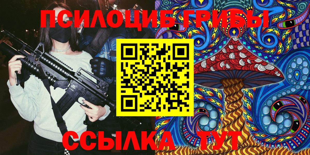 сколько стоит  Псилоцибиновые грибы мицелий  Вход с VPN  Острогожск 